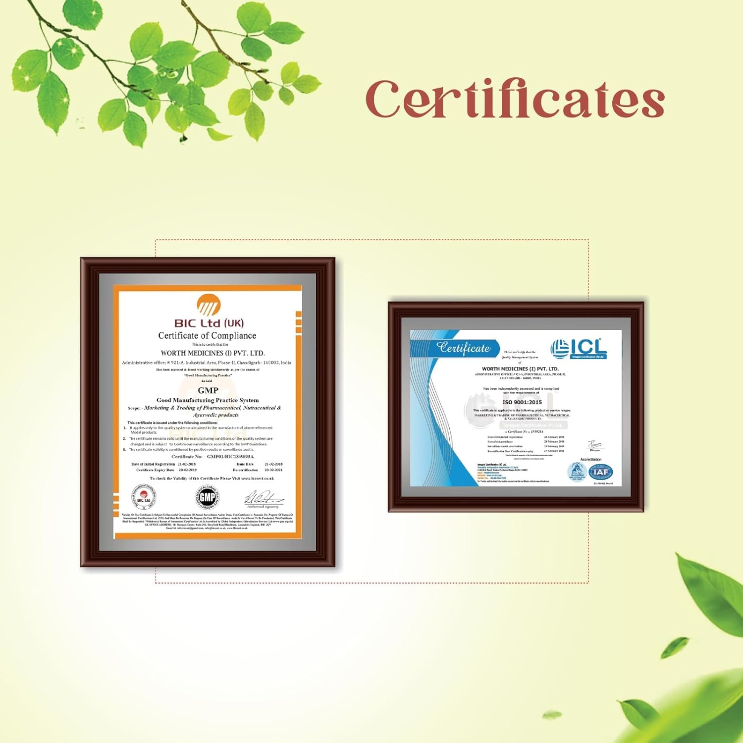 Dersy Ayurvedic Orthopaedic Pain Relief Massage Oil for Full Body Relax